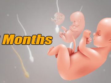 Download 9 Months v1.36.2 MOD APK [Diamantes Infinitos]