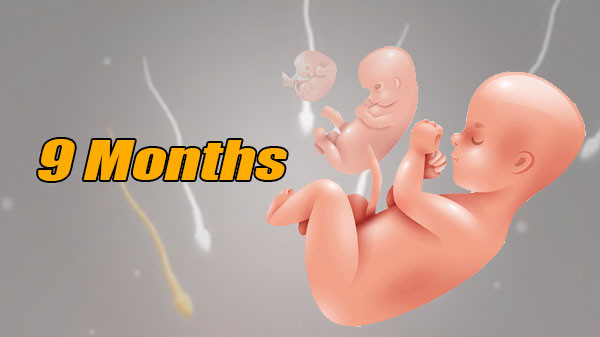 Download 9 Months v1.36.2 MOD APK [Diamantes Infinitos]