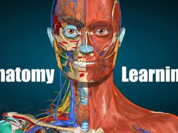 Download Anatomy Learning 3D v2.1.419 MOD APK – DESBLOQUEADO