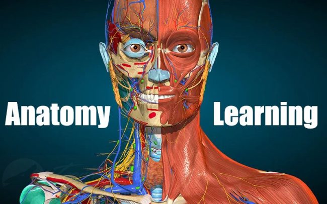 Download Anatomy Learning 3D v2.1.419 MOD APK – DESBLOQUEADO