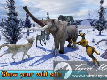 Download Angry Wolf Simulator 3D v1.2 MOD APK – DINHEIRO INFINITO (Android) Download Angry Wolf Simulator 3D v1.2 MOD APK – DINHEIRO INFINITO