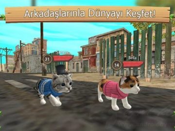 Download Cat Sim Online Play with Cats v202.0 MOD APK – DINHEIRO INFINITO