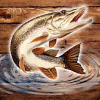 Download Chuva de Peixe: Simulador de Pesca. Esportes MOD APK v0.1.1.6 (Dinheiro Infinito)