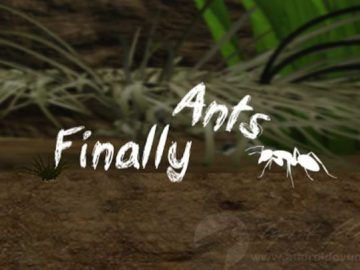 Download Finally Ants v2.51 MOD APK – KAYNAK MODIFICADO