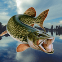 Download Fishing in Yerky MOD APK v4.5.2 (Dinheiro Infinito)