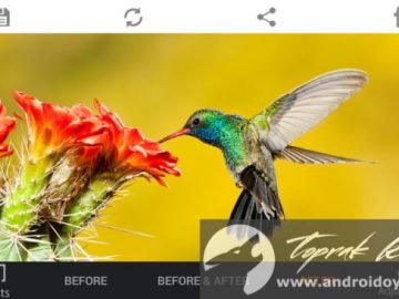 Download HDR FX Photo Editor Pro v1.7.3 FULL APK – VERSÃO COMPLETA (Android) Download HDR FX Photo Editor Pro v1.7.3 FULL APK – VERSÃO COMPLETA