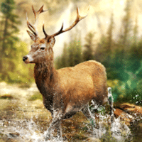 Download Hunting Clash MOD APK v5.14.1 (A mira não gira)