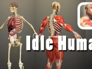 Download Idle Human v1.15 MOD APK [Dinheiro Infinito]