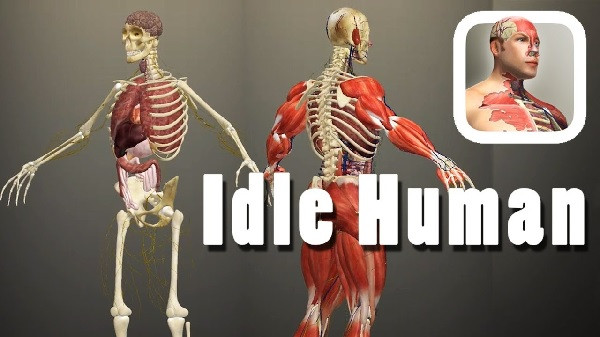 Download Idle Human v1.15 MOD APK [Dinheiro Infinito]