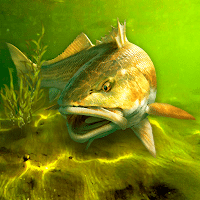 Download My Fishing World – Realistic fishing MOD APK v1.16.28 (Dinheiro Infinito)