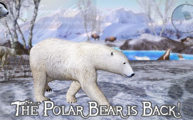Download Polar Bear Simulator 2 v3.0 MOD APK – MODIFICADO