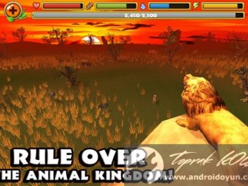 Download Safari Simulator Lion v1.0 FULL APK