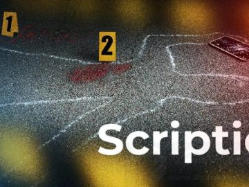 Download Scriptic v0.5.1 FULL APK – VERSÃO COMPLETA (Android) Download Scriptic v0.5.1 FULL APK – VERSÃO COMPLETA