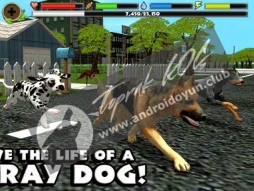 Download Stray Dog Simulator v1.4 FULL APK