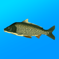 Download True Fishing MOD APK v1.19.2.936 (Dinheiro Infinito)