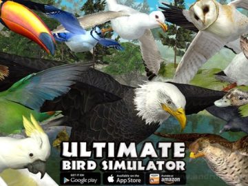 Download Ultimate Bird Simulator v1.3 MOD APK – MODIFICADO