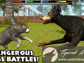 Download Ultimate Cat Simulator v1.0 MOD APK – MODIFICADO