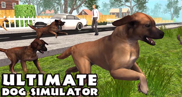 Download Ultimate Dog Simulator v1.1 MOD APK [Money]