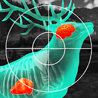 Download Wild Hunt:Sport Hunting Games MOD APK v1.462 (Munição Infinita)