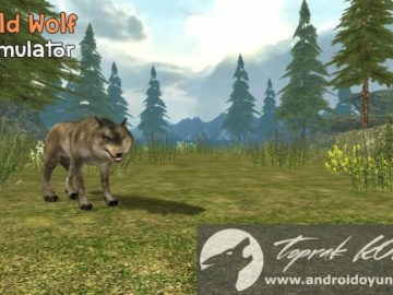 Download Wild Wolf Simulator 3D v1.1 MOD APK – DINHEIRO INFINITO (Android) Download Wild Wolf Simulator 3D v1.1 MOD APK – DINHEIRO INFINITO