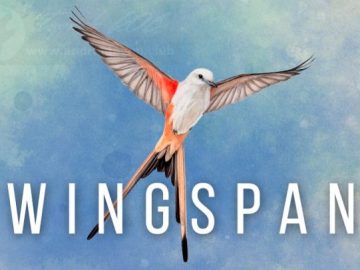 Download Wingspan The Board Game v1.7.941 FULL APK – VERSÃO COMPLETA (Android) Download Wingspan The Board Game v1.7.941 FULL APK – VERSÃO COMPLETA