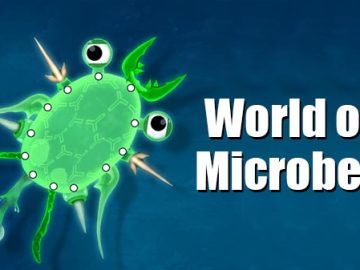 Download World of Microbes Spore Evol v0.2.13 MOD APK [Dinheiro Infinito]