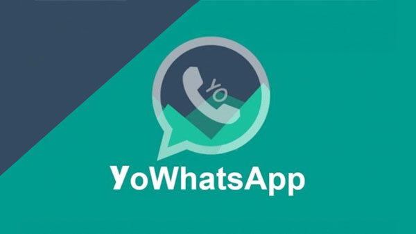 Download YOWhatsApp v20.50.0 APK -Download Atualizado 2022