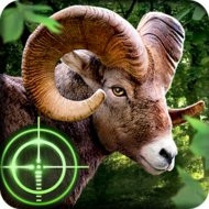 Download Wild Hunter 3D (MOD, much money) 1.0.6